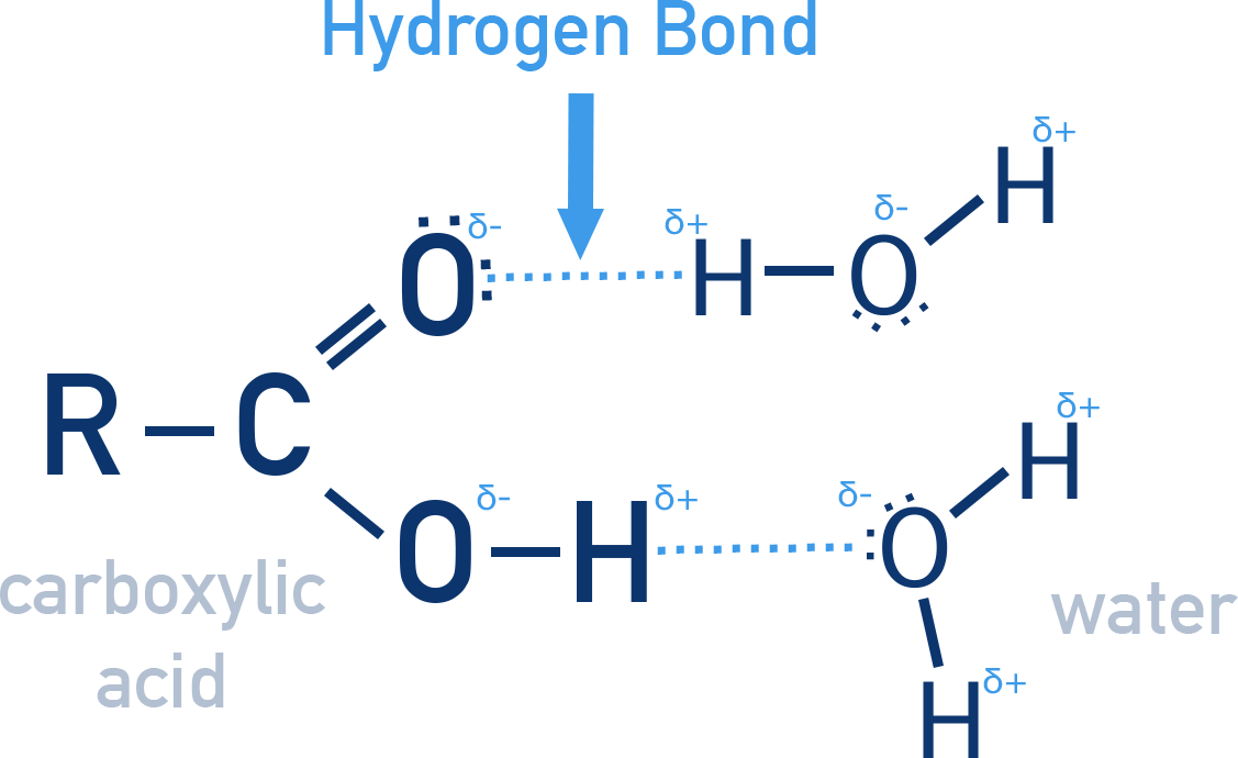 OCR (A) A-Level Chemistry diagram showing hydrogen bonding between carboxylic acid and water molecules.