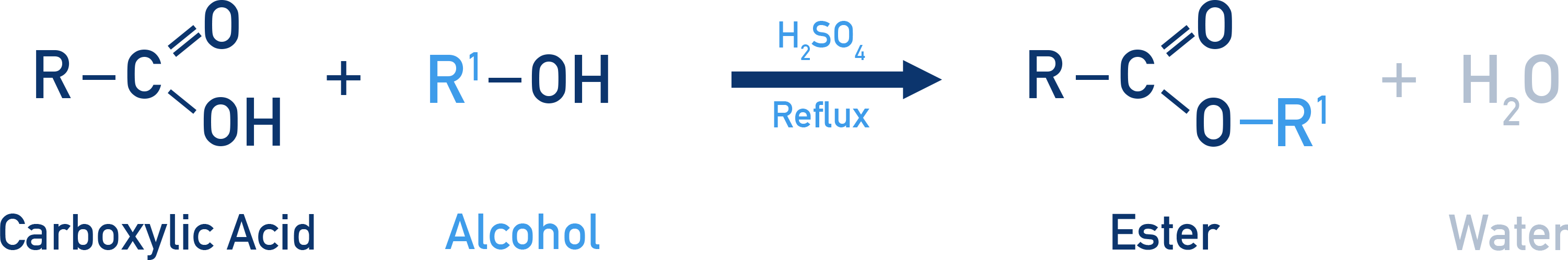 OCR (A) A-Level Chemistry esterification reaction between carboxylic acid and alcohol producing ester and water.