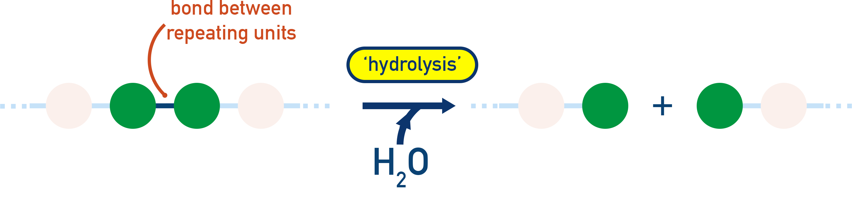 OCR (A) A-Level Chemistry diagram showing hydrolysis adding water to break polyester or polyamide linkages into monomer fragments.