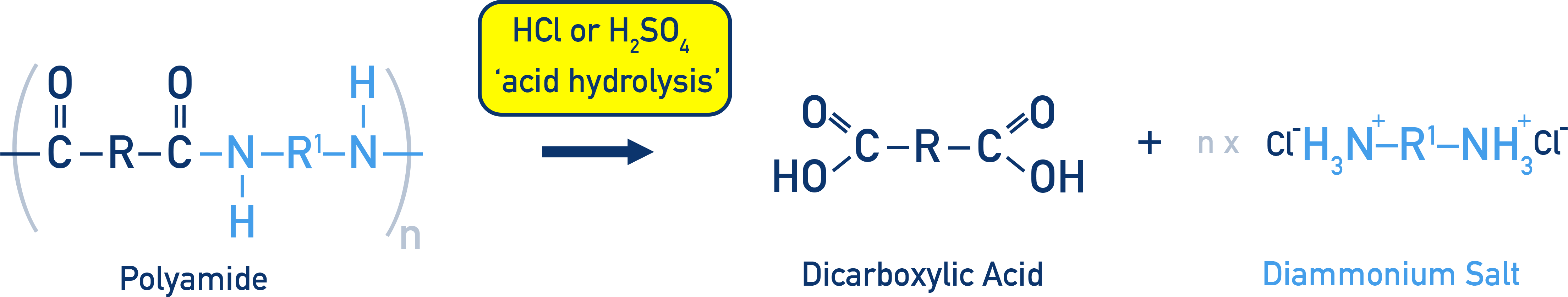 OCR (A) A-Level Chemistry acid hydrolysis of a polyamide yielding a dicarboxylic acid and an ammonium salt from the diamine end.