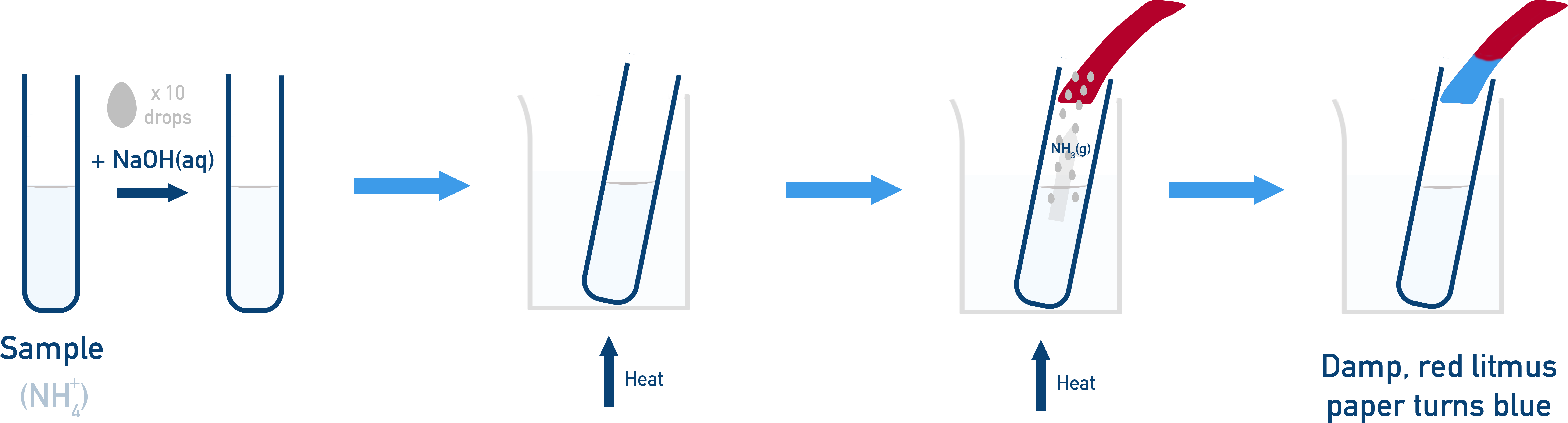 Test for ammonium: warming with NaOH releases ammonia that turns damp red litmus blue.
