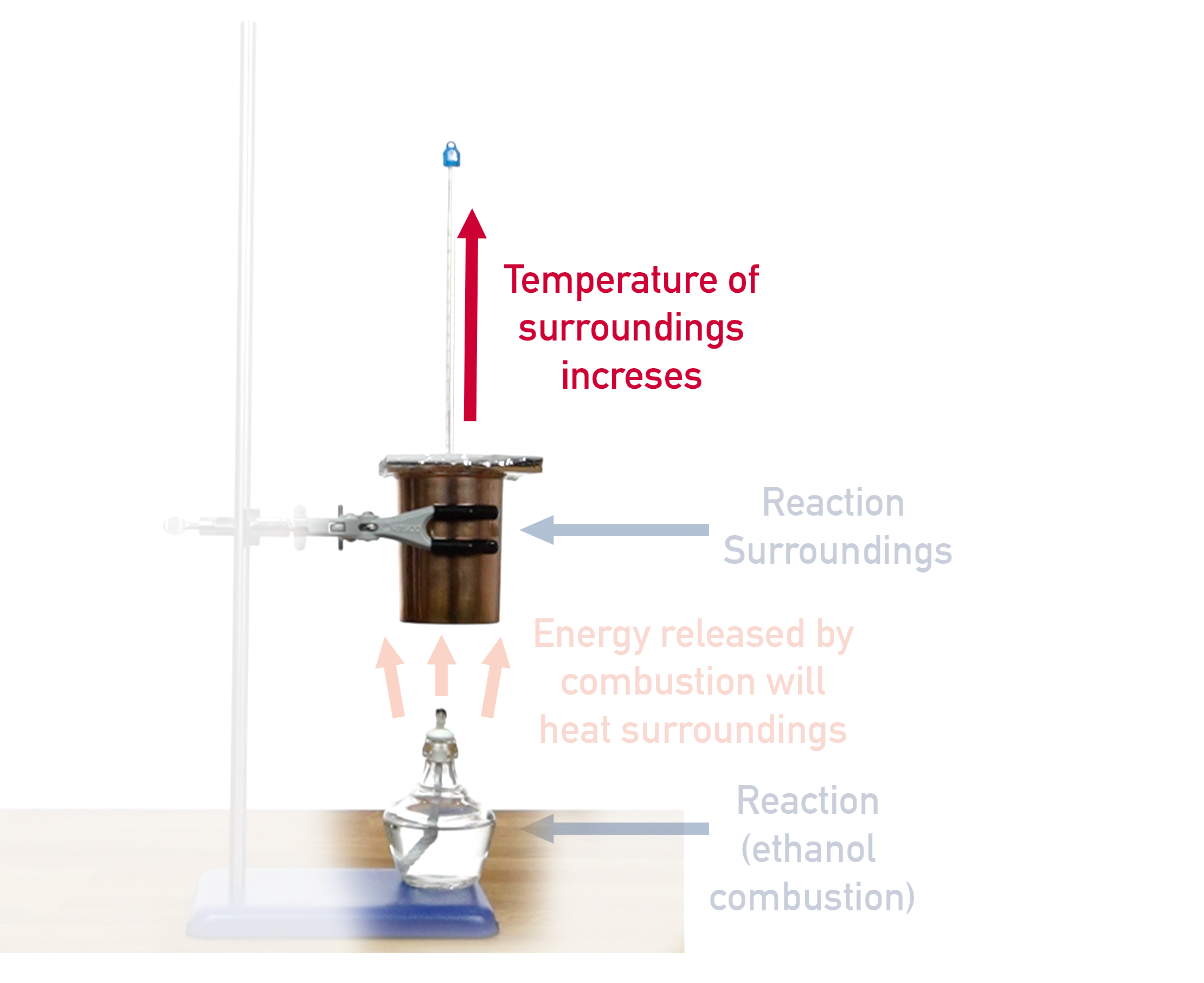 OCR (A) A-Level Chemistry diagram of combustion calorimetry with spirit burner and water calorimeter.